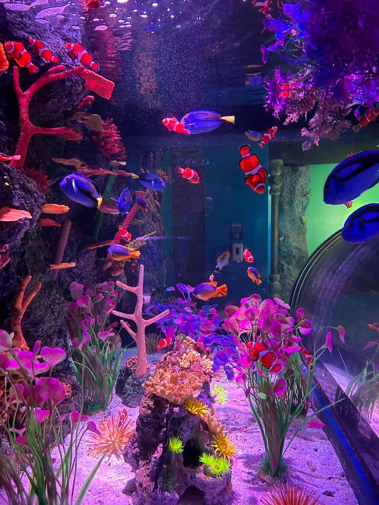 Aquarium Paradise-museum-bangalore