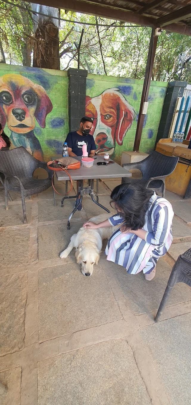 Therpup Dog Cafe-animal_cafes-bangalore