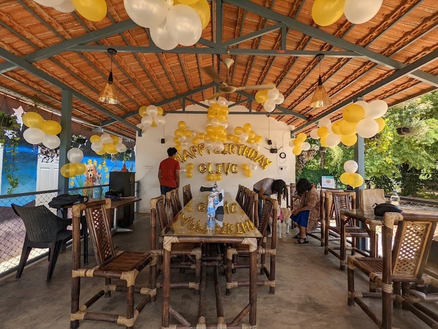 Wille’s Pet Paradise-animal_cafes-bangalore